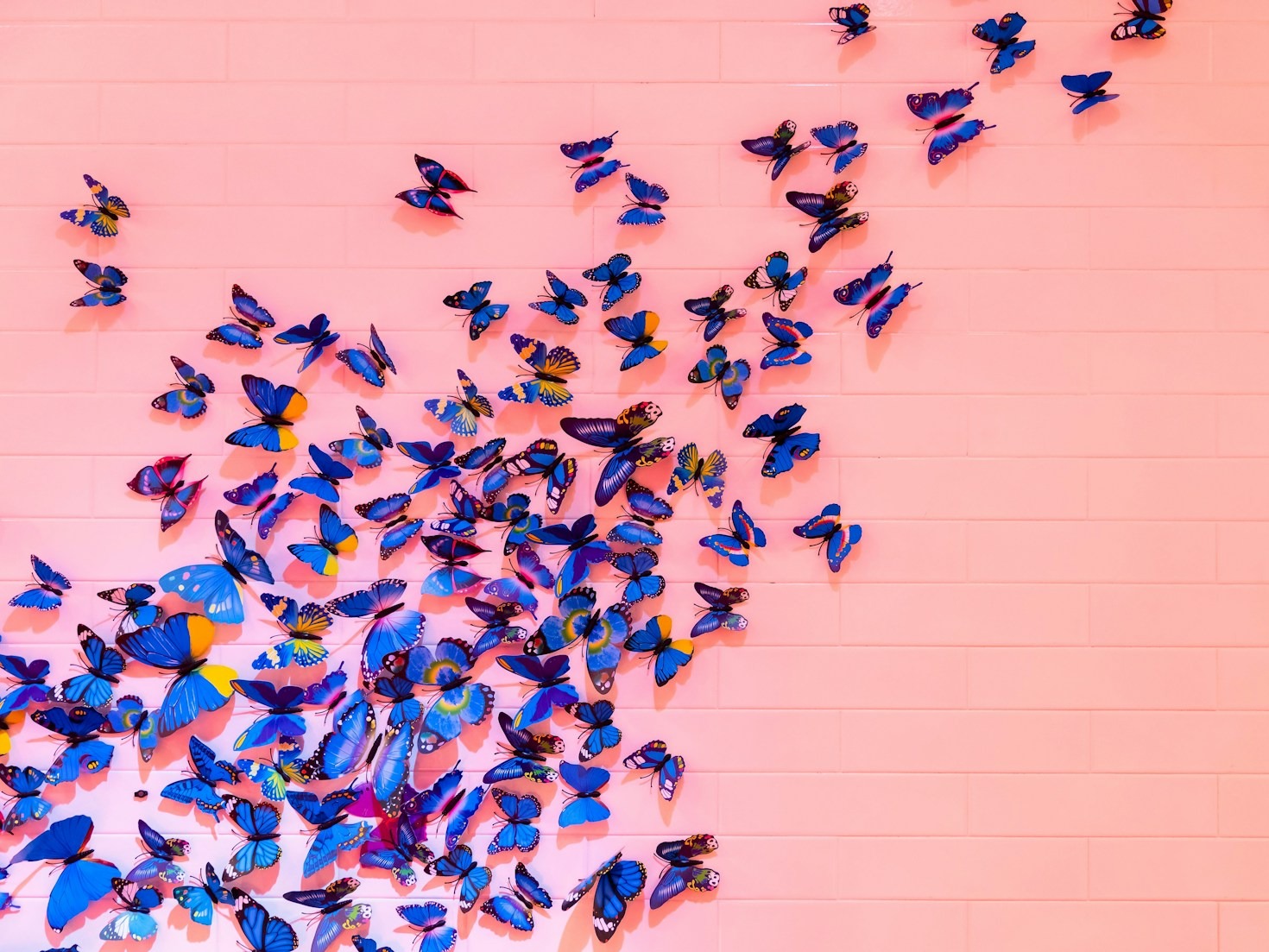The Colorful Journey to Spanish Mastery